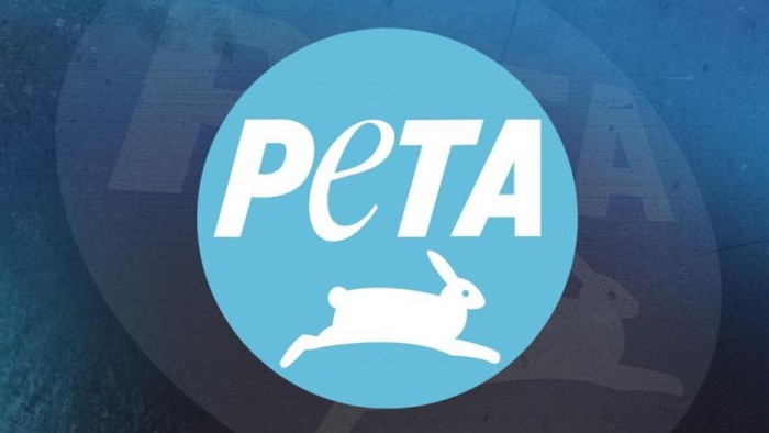 动物之森将下架 国外善待动物组织PETA盯上《动森》