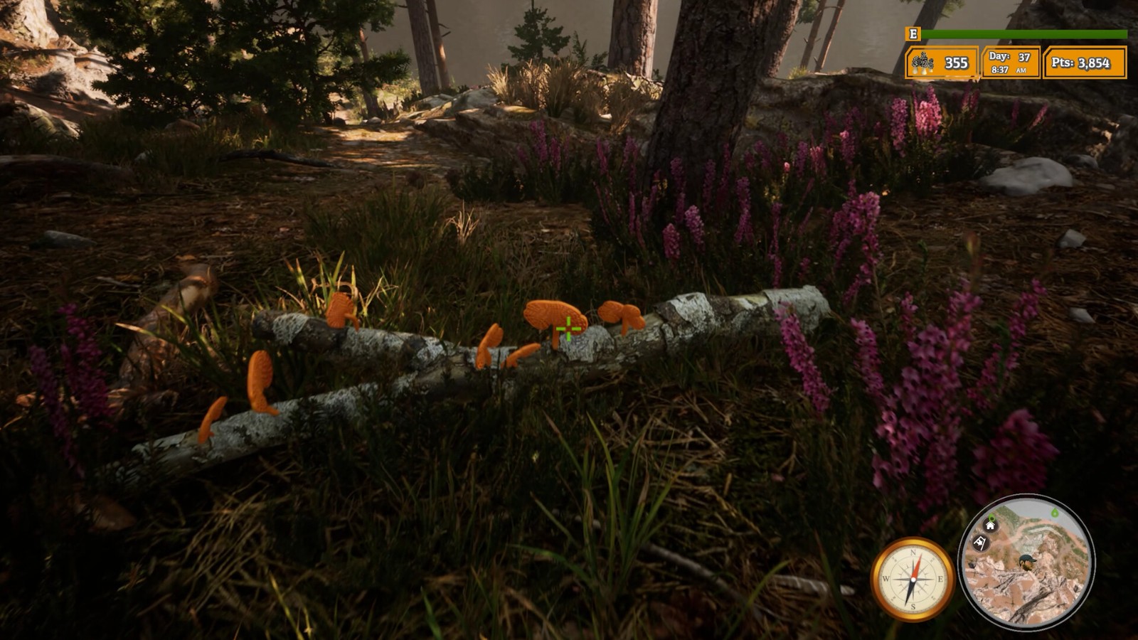 《羊肚菌：狩猎2》游戏性预告 现已正式推出